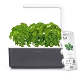 Click & Grow Click and Grow Smart Garden, einfacher als Hydroponisches anzuchtsystem, Indoor Garten, kräutergarten, Indoor gewächshaus mit 3 Plant pods dabei, Dunkelgrau