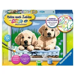 Paket Malen nach Zahlen Serie E (Süße Hundewelpen)