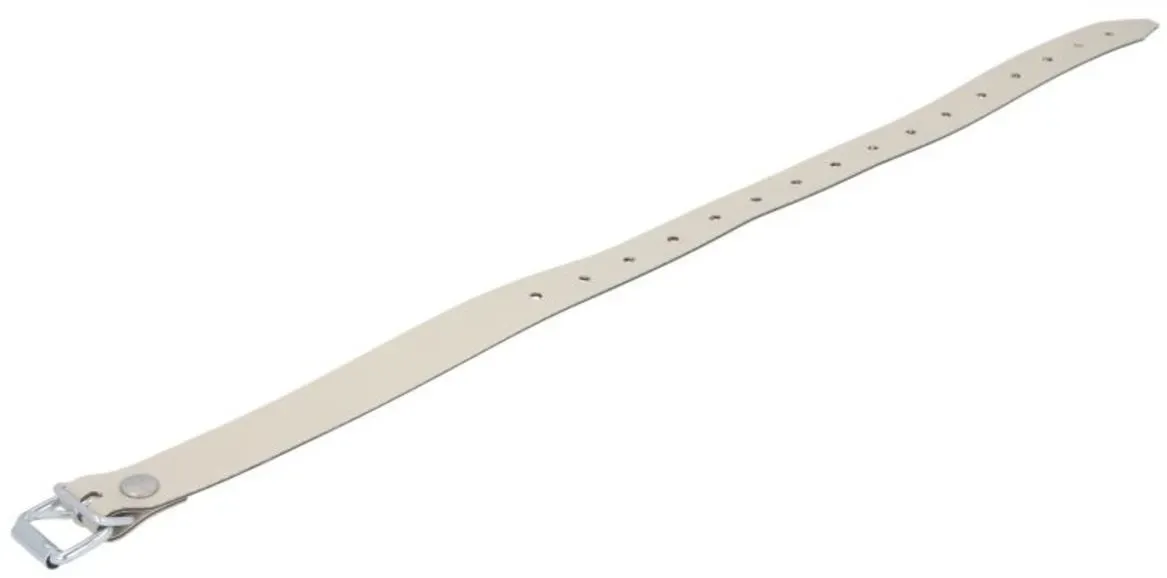 Cintura CARGOPARTS P500