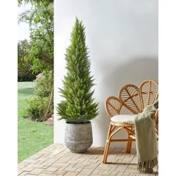 Kunstpflanze im Blumentopf 153 cm CEDAR TREE