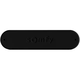 SOMFY Eolis 3D WireFree io Windsensor schwarz