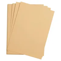 Clairefontaine Zeichenpapier 75x110 cm 10g, Pack. 25 Bogen -