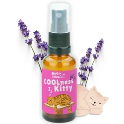 COOLness Kitty Spray für Katzen, Entspannung 30 ml
