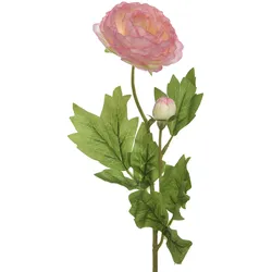 Ranunkel mit Blüte und Knospe am Stiel - Kunstblume - H: 57cm - rosa