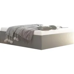 Polsterbett "Amrum", grau, B:205cm L:205cm, Bezug Glanzvelours, 100% Polyester, Polsterung 100% Polyester, Gestell Holzwerkstoff, WESTFALIA SCHLAFKOMFORT, Betten, in Samtvelours ohne Kopfteil, mit und ohne Bettkasten erhältlich