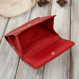 PAOLO PERUZZI Geldbörse Damen Rot