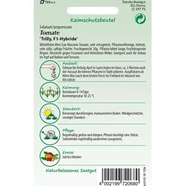 Samen Pfann Tomate Trilly F1-Hybride | San Marzano Tomatensamen von Samen Pfann