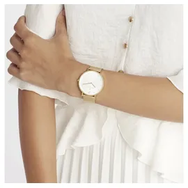 Pierre Cardin Belleville Simplicity Milanaise 39 mm CBV.1016