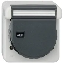 Gira Steckdose KD+BSF 444031 Grau