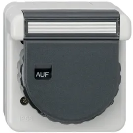 Gira Steckdose KD+BSF 444031 Grau