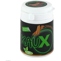 Kaux Zahnpflegekaugummi Cinnamon/Zimt mit Xylitol 40 St