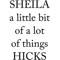 Hatje Cantz Sheila Hicks. a little bit of a