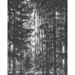 Vliestapete KOMAR "Digitaldruck Vlies - Lustres Lapland - Größe 200 x 250 cm", schwarz (schwarz, weiß), B:200m L:250m, Vlies, Tapeten, Wohnzimmer, Schlafzimmer