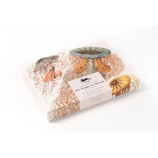 Pepin Press Art Forms in Nature