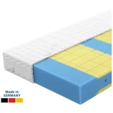 AM Qualitätsmatratzen Premium Plus 7-Zonen Kaltschaummatratze 120 x 200 cm H3