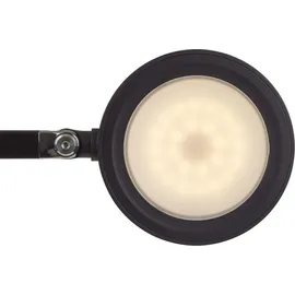 Maul MAULgrace Schwarz