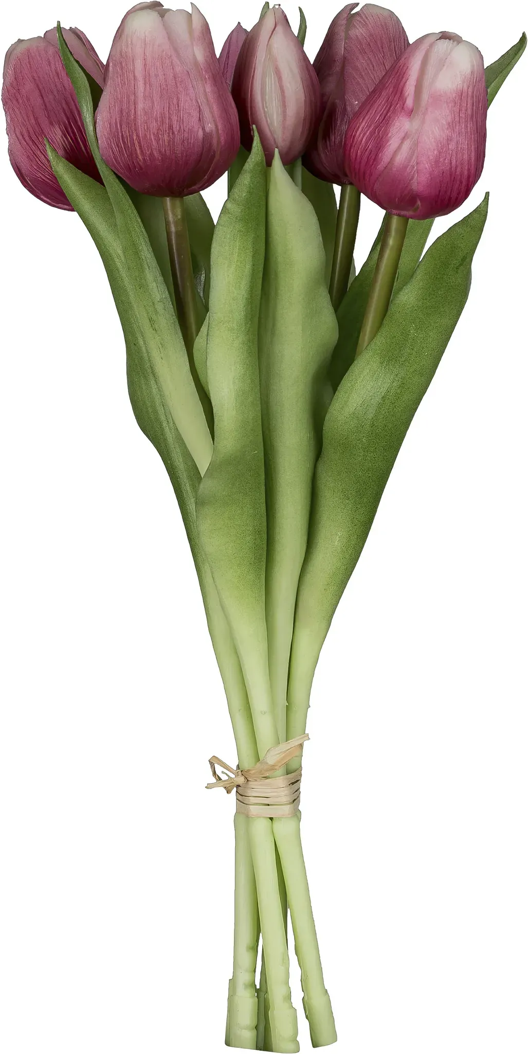 Kunsttulpe CREATIV GREEN 