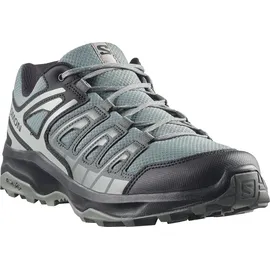Salomon Herren Extegra Schuhe (Größe 46, grau)