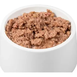 Sanoro Pures Muskelfleisch vom Känguru 12 x 400 g