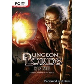 Dungeon Lords MMXII (PC)