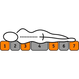Frankenstolz Rubin T Tonnentaschenfederkernmatratze 100 x 200 cm H2/H4