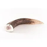 Bellfor Hirsch-Geweihe XXL 160 g