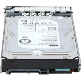 Dell Constellation ES.3 1TB (ST1000NM0033)