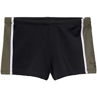 Chiemsee Badehose Chiemsee schwarz 4