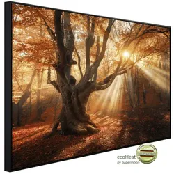 papermoon Infrarotheizung »EcoHeat - Magischer alter Baum«, Matt-Effekt - bunt