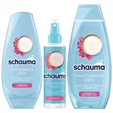 Schauma Sprühpflege Feuchtigkeit & Glanz (200 ml) & Schwarzkopf Feuchtigkeits-Shampoo Feuchtigkeit & Glanz (400 ml) & Feuchtigkeits-Spülung Feuchtigkeit & Glanz (250 ml)