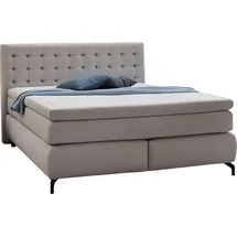 Jockenhöfer Boxspringbett hellgrau Flachgewebe Liegefläche B/L: ca. 180x200 cm - hellgrau