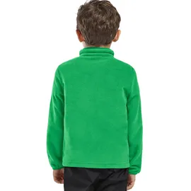 Jack Wolfskin Halfzip Green 140