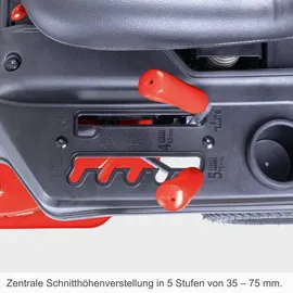 SCHEPPACH MR225-61 Benzin Aufsitzrasenmäher 6PS 61cm Schnittbreite 150L Fangsack