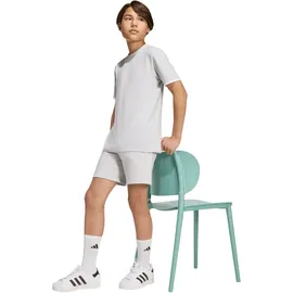 adidas Entrada 26 Light Grey/White 164