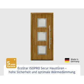 Hörmann EcoStar ISOPRO Secur IPS 810S links 110 x 210 cm golden oak