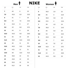 Nike Men's Air Max 90 wolf grey/wolf grey/black 45
