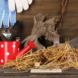 Relaxdays Mausefalle 25er Set