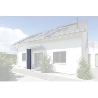 Gutta Blende BS Depot 55 x 220 cm Anthrazit 7501906