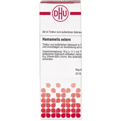 Hamamelis extern