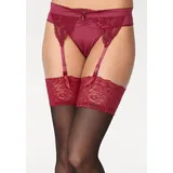 LASCANA Strapsstrümpfe Damen rubinrot Gr.44/46