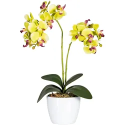 Kunstpflanze CREATIV GREEN "Phalaenopsis", grün, B:11cm H:50cm T:11cm Ø:11cm, Polyester, Kunststoff, Kunstpflanzen