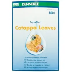 DENNERLE Catappa Leaves 10Stück