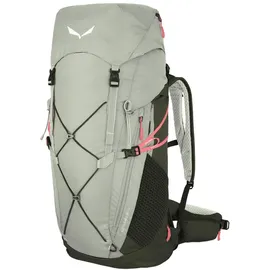Salewa Alp Trainer 35+3L Rucksack Shadow/Dark Olive