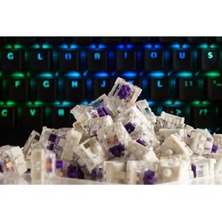 Glorious PC Gaming Race KAI-PURPLE, Tastatur-Schalter, Violett