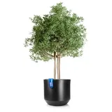 BigDean Blumentopf Style Ø 58 x 46 cm Anthrazit