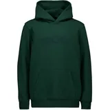 Poc Hoodie Green 12