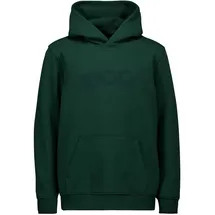 Poc Hoodie Green 12