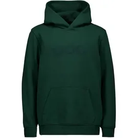 Poc Hoodie Green 12
