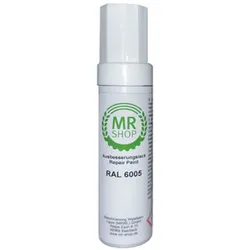 MR-Shop Lackstift RAL-Farben für Einstabmattenzaun, Moosgrün