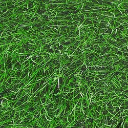 Baumwollstoff-Digitaldruck "Gras", Serie Ria